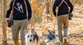 The Ranger MoneyMaker Attachment | Dog Leash For Your MoneyMaker